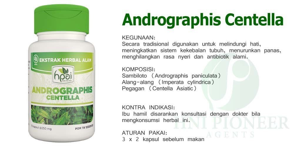Katalog Hpai 2020 Harga Member