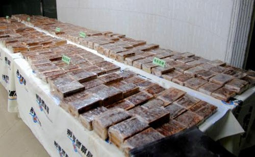 Some of the 600 heroin bricks that were discovered in an aircraft container are displayed at the Criminal Investigation Bureau building in Taipei yesterday.Nov 18, 2013