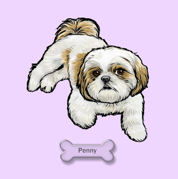 How To Draw A Shih Tzu Face Easy