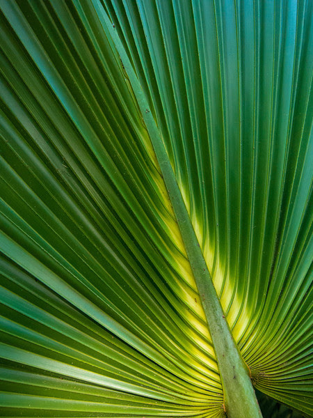 Photo & Video Sharing by SmugMug Photo & Video Sharing by SmugMug