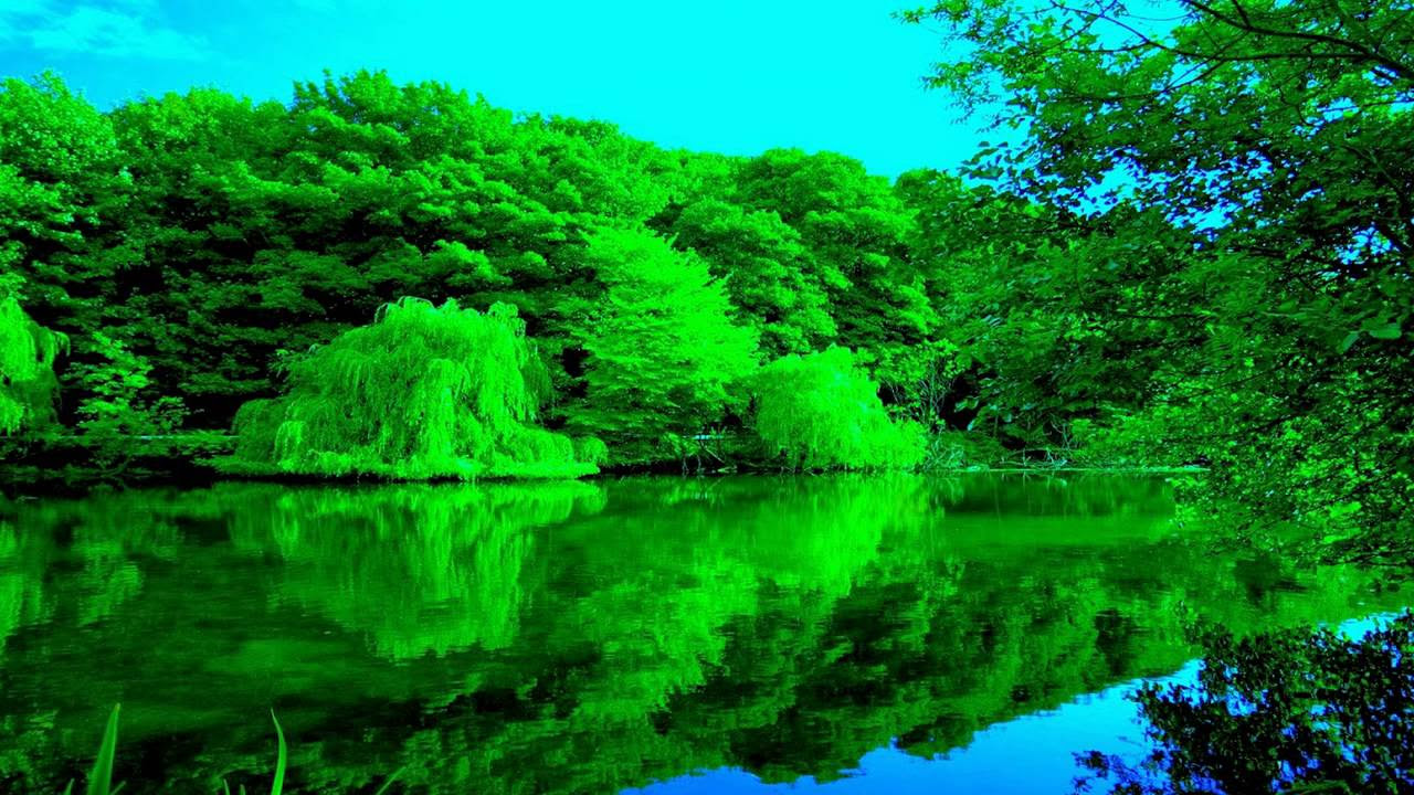 طبيعة خلابة مع موسيقى Tabiea Blog