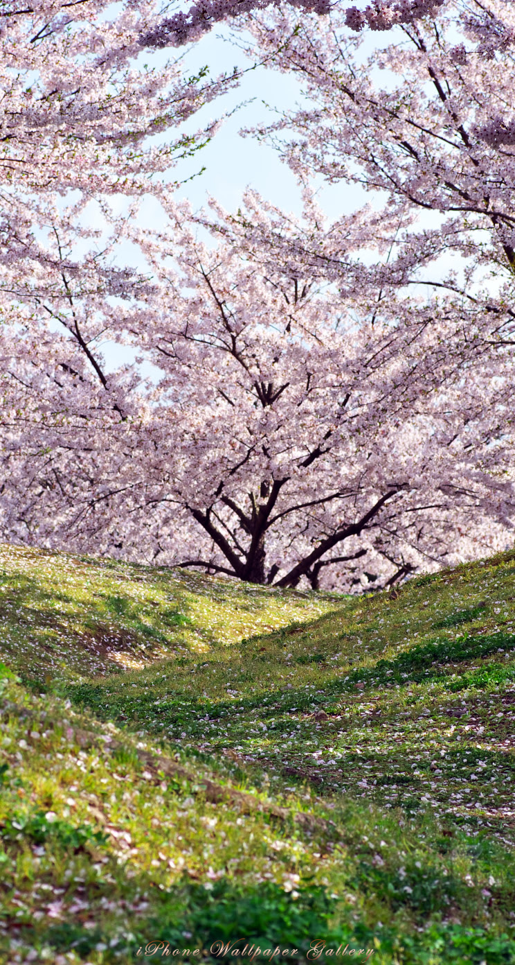 トップコレクション 絶景 壁紙 Iphone Hd壁紙画像コレクション