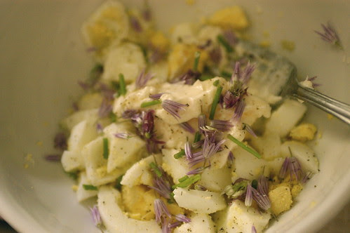 egg salad with chive blossoms