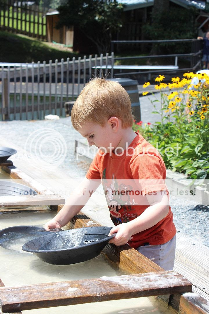 photo Tweetsie75_zps9c70868f.jpg