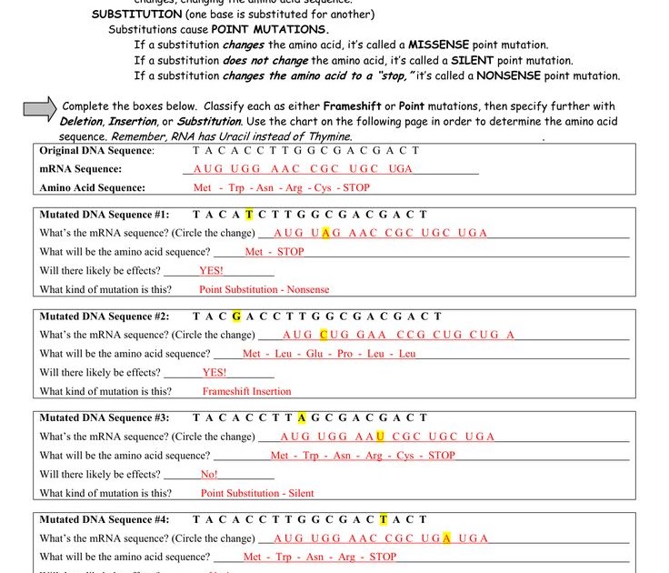 dna-mutation-simulation-answer-key-dna-mutation-simulation-worksheet-name-dna-mutation