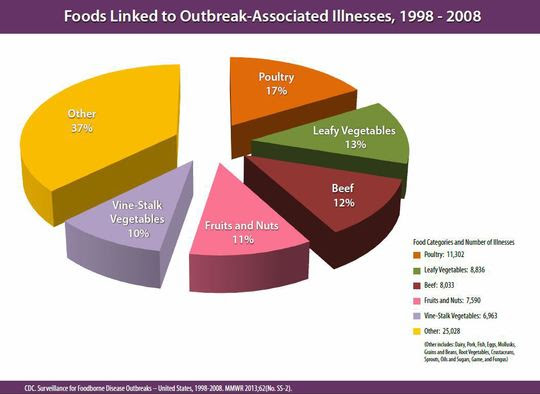 Foods linked to outbreak-associated illness from 1998 to 2008