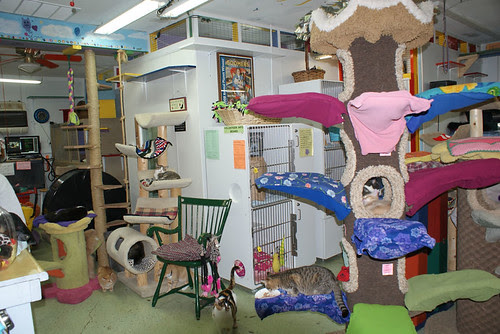 FFRC Interior 12