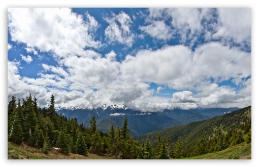 Top 100 Olympic National Park Wallpaper Work Quotes