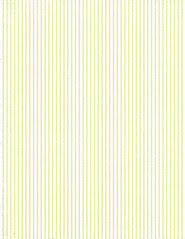 STANDARD size JPG Monochromatic Pin Stripe (chartreuse) paper 350 dpi