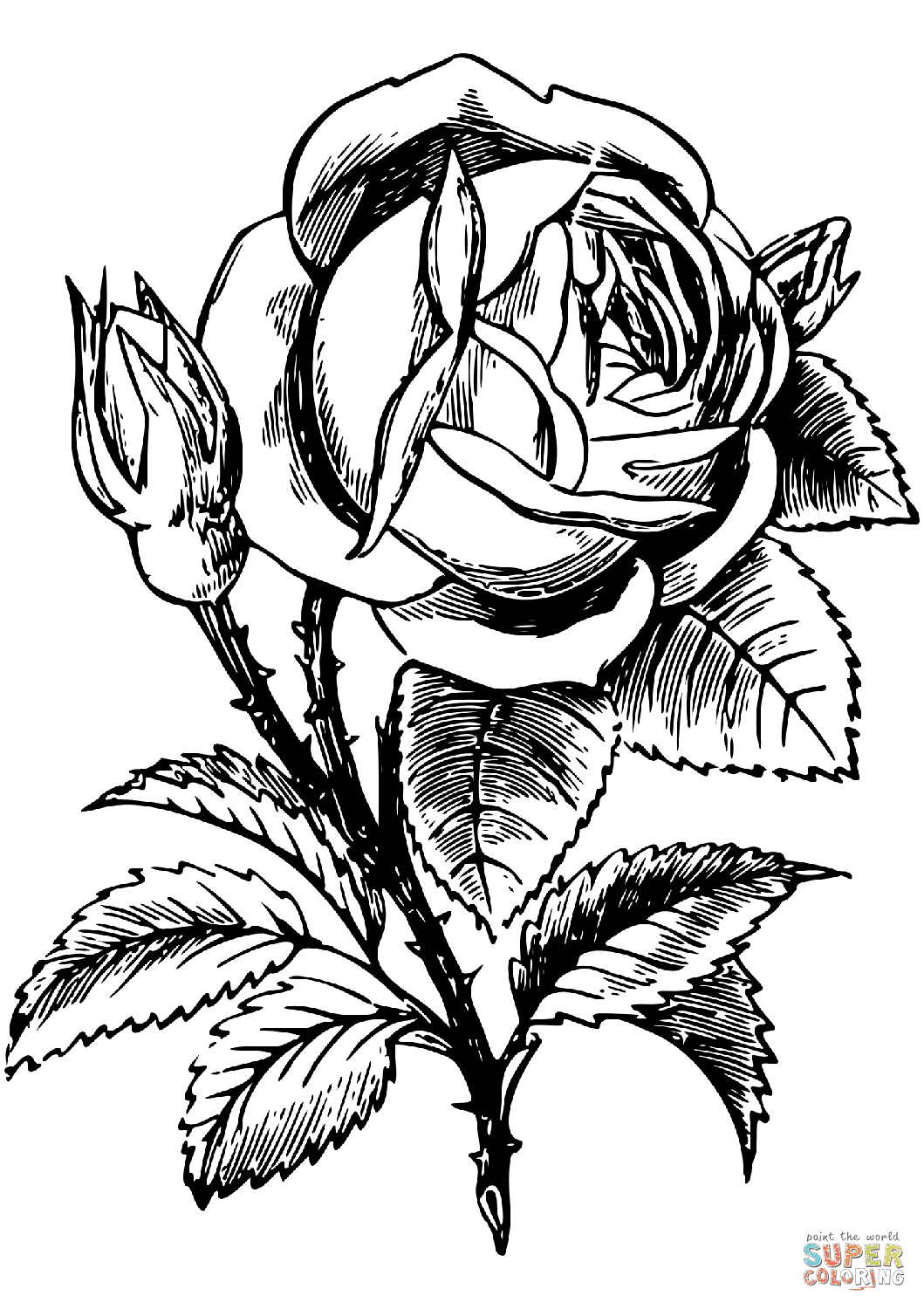 free-printable-coloring-pages-roses-rose-coloring-pages-download-and-print-rose-coloring