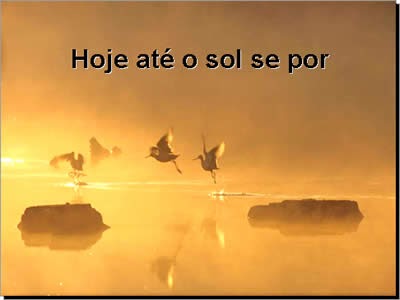 como apostar online lotofácil