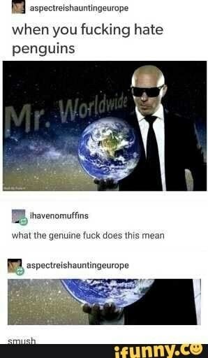 Mr Worldwide Meme