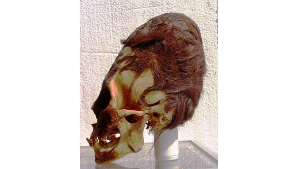Elongated Skull in Paracas