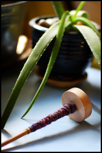 Spindle with Aloe