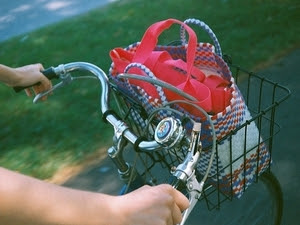 Putting the shopping bags in the bike basket rather than in the car trunk could deliver big health benefits. Putting the shopping bags in the bike basket rather than in the car trunk could deliver big health benefits.