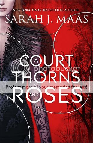 https://www.goodreads.com/book/show/16096824-a-court-of-thorns-and-roses
