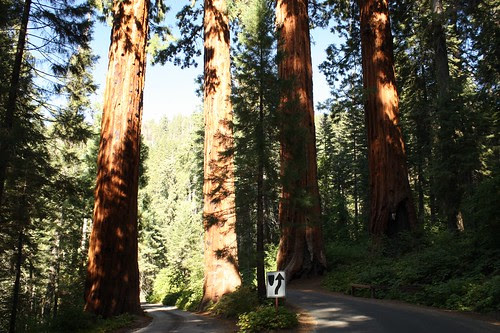 410 road through