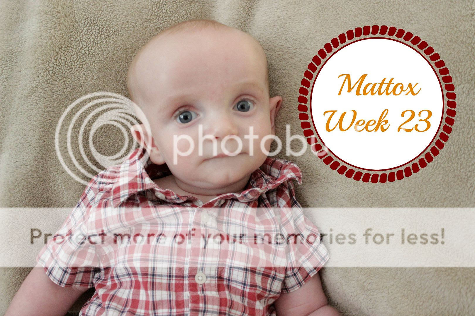 photo Week23_zps9aehk3kq.jpg