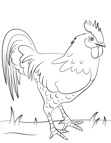 Rooster coloring page Free Printable Coloring Pages Rooster coloring page Free Printable Coloring Pages
