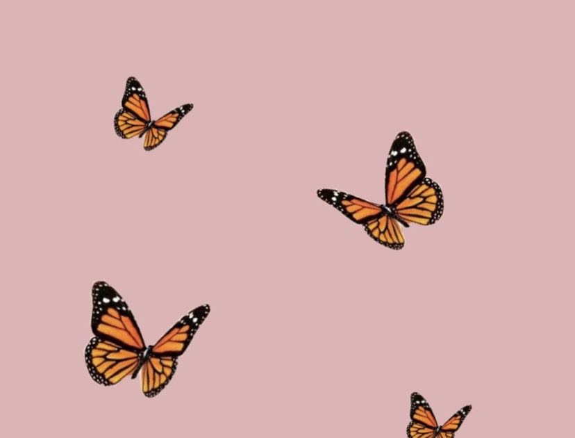 Wallpaper Asthetic Butterfly