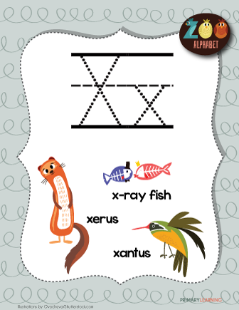 What Animal Begins With Letter X - QANIML