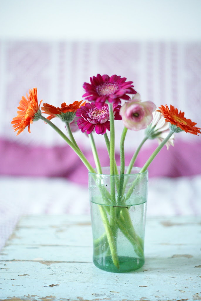 pink orange & green