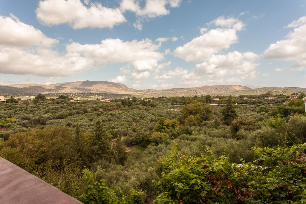 The view from the terrace.