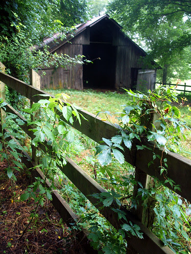P7174093