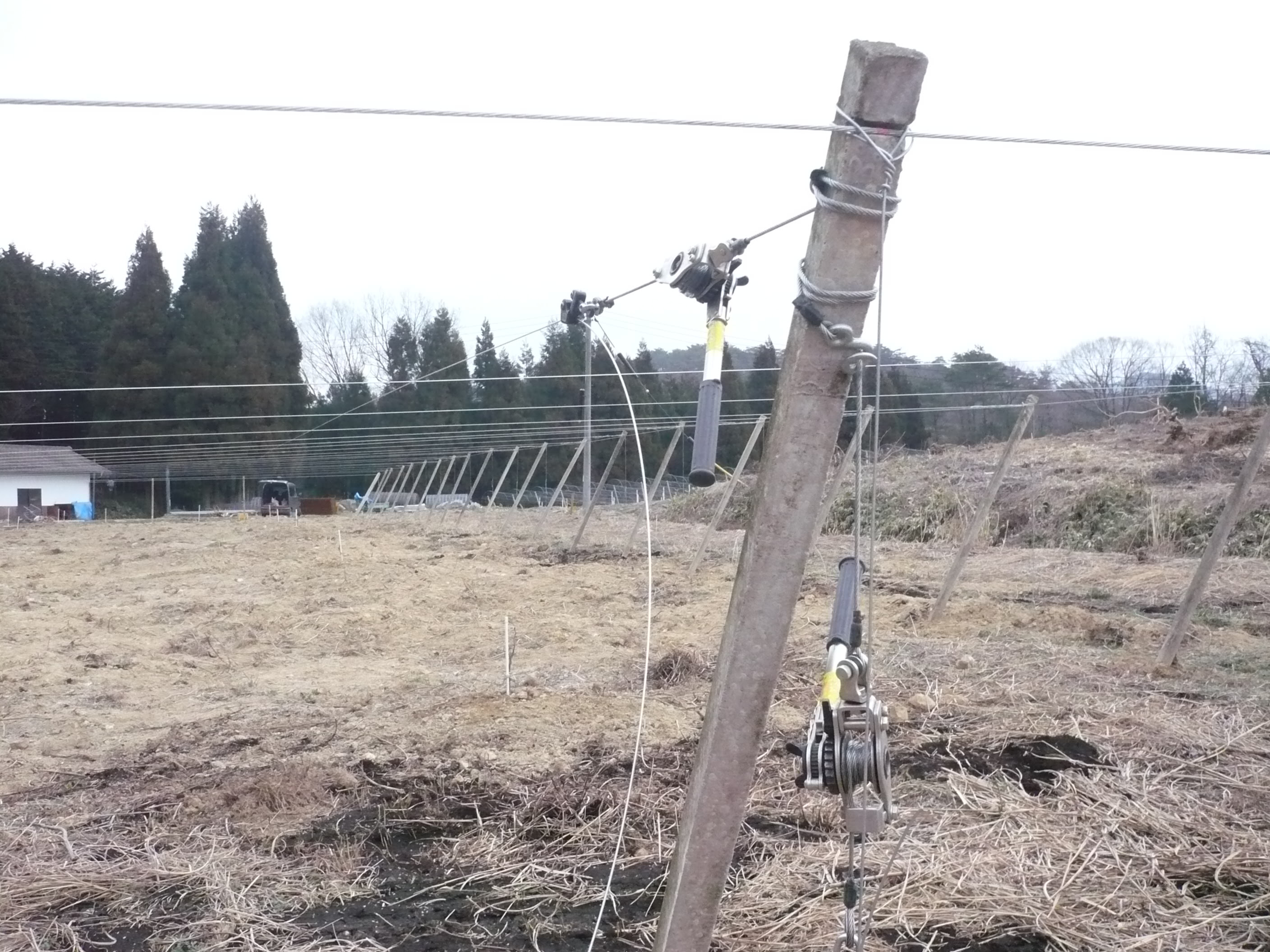 最高の画像 心に強く訴える ぶどう棚 ワイヤー 張り方