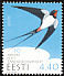 Barn Swallow Hirundo rustica Barn Swallow Hirundo rustica