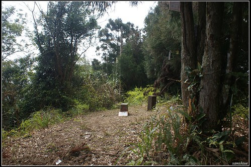 DSC04018