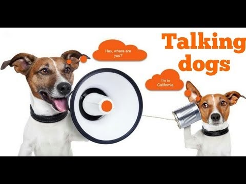 Dogs are talking like humans lol