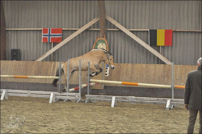 photo 14-03-2015 HK Belgie 80.jpg