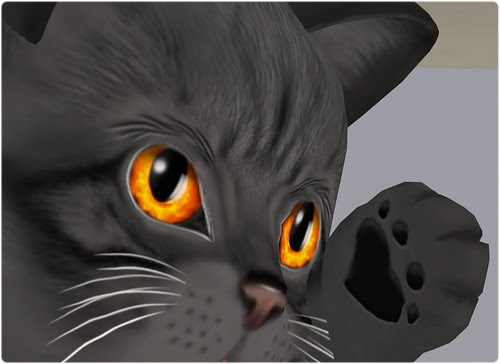 Fire eyes