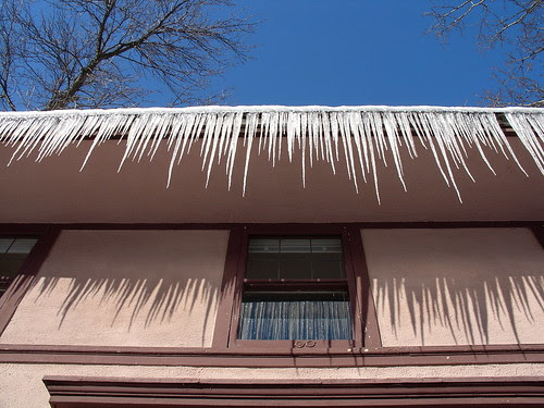 icicles