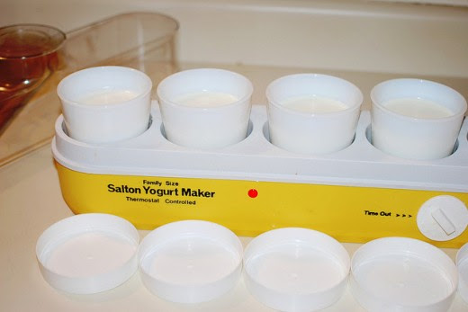 yogurt maker by salton
