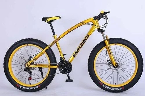 light wali cycle