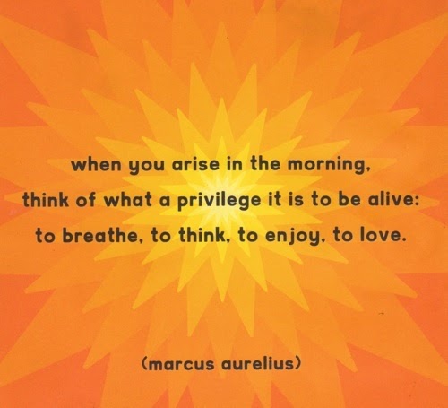 Marcus Aurelius Quotes: When you arise in the morning... Marcus