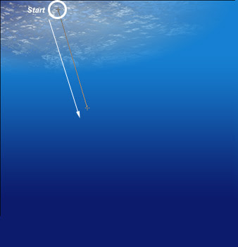 image 29