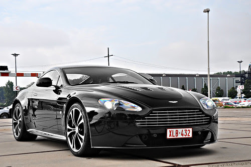 v12 white sable