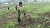 Uganda, “bambini al lavoro nei campi della Chiesa cattolica”