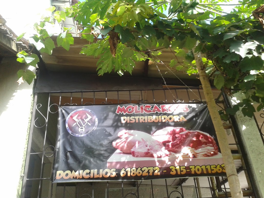 Molicarnes