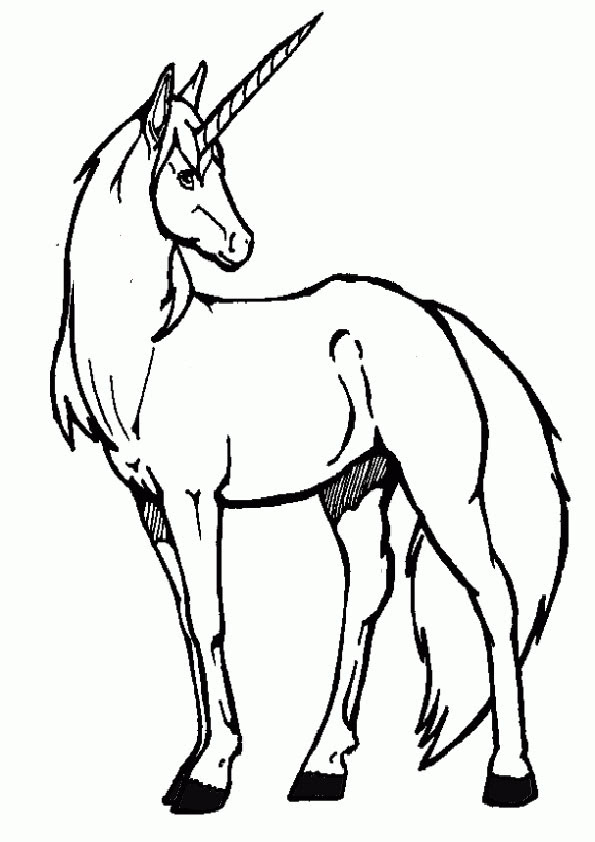 Malvorlage einhorn sternenschweif information