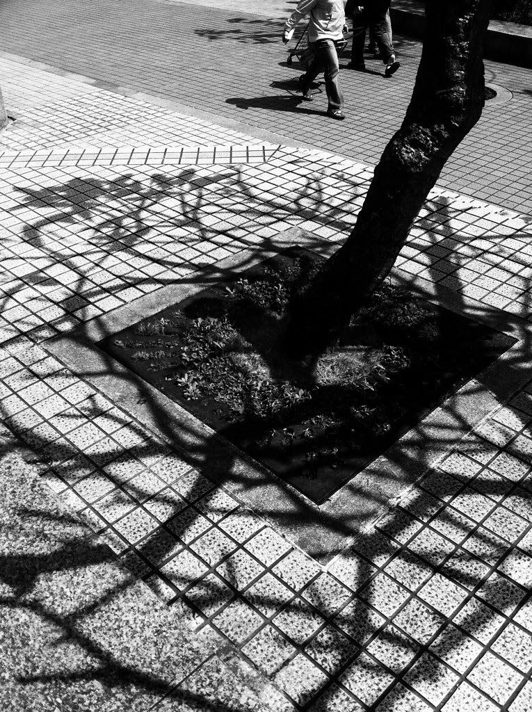 Shadows
