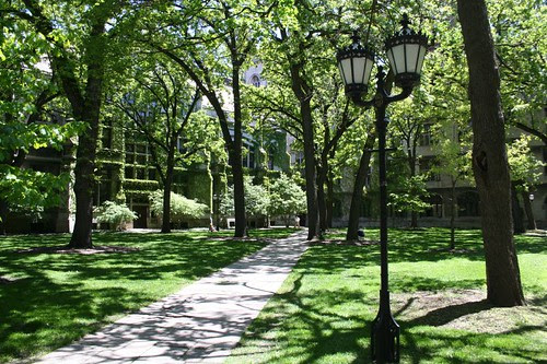 University of Chicago campus