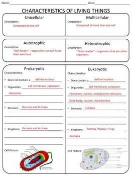 Biology Characteristics Of Living Things Worksheet Answers - worksheet