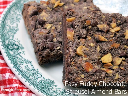 Quick and easy fudgy chocolate streusel bars with roasted and salted almonds - FarmgirlFare.com