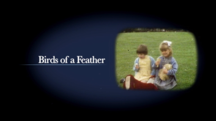 Birds Of A Feather Theme Song - Theme Image