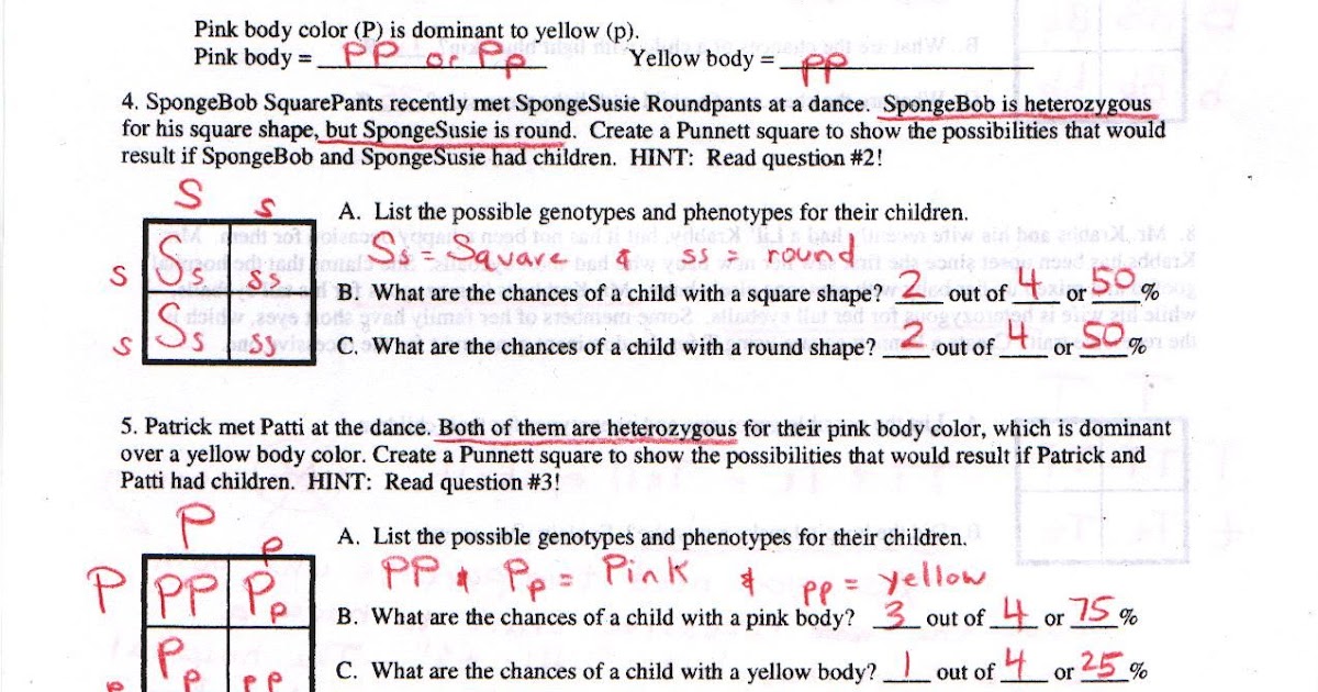 Genetics Pedigree Worksheet Answer Key - worksheet