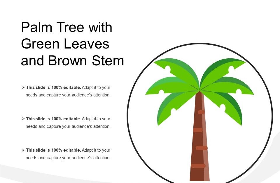 Palm Tree Diagram